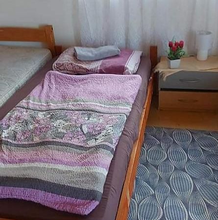فندق Badacsonyi Pihenes Privat Berlemeny باداتشونيتوماي المظهر الخارجي الصورة